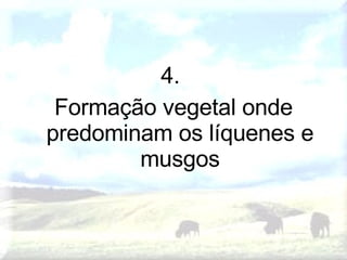 4.  Formação vegetal onde predominam os líquenes e musgos 