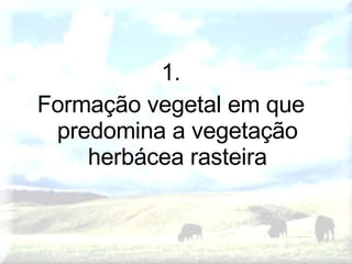 1. Formação vegetal em que predomina a vegetação herbácea rasteira 