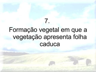 7.  Formação vegetal em que a vegetação apresenta folha caduca 