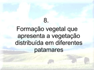 8.  Formação vegetal que apresenta a vegetação distribuída em diferentes patamares 