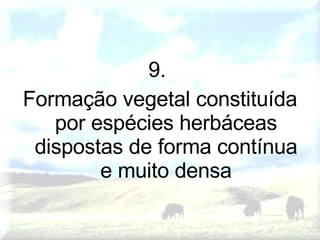 9.  Formação vegetal constituída por espécies herbáceas dispostas de forma contínua e muito densa 