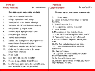 Eu sou Ureteres                                    Eu sou Sartório

      Diga aos outros que eu sou um tubo             Diga aos outros que eu sou um musculo
1.    Faço parte das vias urinárias               1.     Perca a vez .
2.    Eu ligo a pelve do rim à bexiga             2. Eu sou o musculo mais longo do corpo
3.    Transporto a urina do rim à bexiga          humano.
                                                  3. Tenho forma de fita.
4.    Tenho de 25 a 30 cm de comprimento
                                                   4. Faço parte do sistema muscular.
5.    Um palpite a qualquer hora                  5 . Volte 3 casas.
6.    Minha função é propulsão da urina           6. Minha origem é na espinha ilíaca.
7.    Sou um órgão tubular                         7. Estou localizado na região Antero lateral.
8.     Tenho três camadas                          8. Possuo inervação no nervo femoral.
                                                  9. Auxilio na flexão da perna e rotação da
9.    A cada 10 a 15 segundos envio pequenas      coxa.
      quantidades de urina a bexiga               10. Me fixo na tuberosidade da tíbia.
10.   Escolha um jogador para voltar 3 casas       11. O meu nome também é musculo
11.   Cada um de nós é dotado de vasos            costureiro
      sanguíneos e nervos                         12. Avance 5 casas.
                                                   13. Eu posso ser identificado por Cruzar
12.   Perca a vez                                 transversalmente a coxa.
13.   Faço parte do sistema excretor              14. Eu faço a flexão da coxa.
14.   Possuo a capacidade de contração            15. Flexiono os quadris e joelhos, sou muito
                                                  importante na marcha.
15.   Sou formado por 3 camadas : uma fibrosa,
      uma muscular e uma impermeável
 