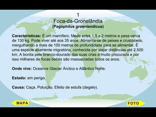 1
                       Foca-da-Gronelândia
                       (Pagophilus groenlandicus)

Características: É um mamífero. Mede entre 1,5 a 2 metros e pesa cerca
de 130 kg. Pode viver até aos 35 anos. Alimenta-se de peixes e crustáceos,
mergulhando a mais de 100 metros de profundidade para se alimentar. É
uma espécie altamente migratória, conhecida por viajar distâncias até 2.500
km. A bonita pele branco-dourado das suas crias é muito procurada e por
isso milhares de focas bebés são massacradas todos os anos.

Onde vive: Oceanos Glaciar Árctico e Atlântico Norte.

Estado: em perigo.

Causa: Caça. Poluição. Efeito de estufa (degelo).
 