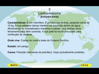 3
                           Lontra-marinha
                            (Enhydra lutris)

Características: É um mamífero. É a maior das lontras, pesando cerca de
15 kg. A sua pelagem densa mantém-na aquecida dentro da água.
Alimenta-se de invertebrados marinhos e peixes. Usa pedras como
ferramenta para abrir conchas. A sua pele foi muito procurada para
confecção de casacos.

Onde vive: Costas do norte e leste do Oceano Pacífico.

Estado: em perigo.

Causa: Poluição (derrames de petróleo). Caça (actualmente proibida).
 