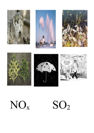 NOx   SO2
 