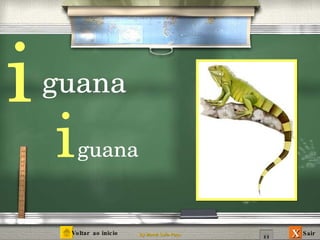 i guana guana i 