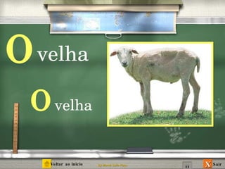 o velha velha o 