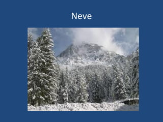 Neve
 
