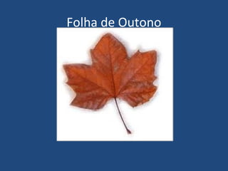 Folha de Outono
 