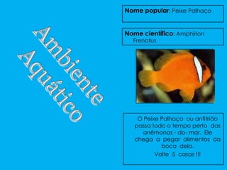 Nome popular: Peixe Palhaço


Nome científico: Amphirion
  Frenatus




    O Peixe Palhaço ou anfitrião
   passa todo o tempo perto das
     anêmonas - do- mar. Ele
   chega a pegar alimentos da
            boca dela.
          Volte 5 casas !!!
 