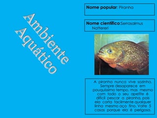 Nome popular: Piranha


Nome científico:Serrasalmus
  Nattereri




   A piranha nunca vive sozinha.
         Sempre desaparece em
   pouquíssimo tempo, mas mesmo
      com todo o seu apetite é
      difícil pescar a piranha, pois
    ela corta facilmente qualquer
    linha mesmo aço fino. Volte 5
    casas porque ela é perigosa.
 