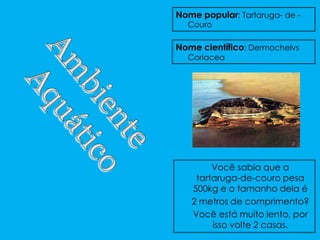 Nome popular: Tartaruga- de -
  Couro

Nome científico: Dermochelvs
  Coriacea




        Você sabia que a
    tartaruga-de-couro pesa
   500kg e o tamanho dela é
   2 metros de comprimento?
   Você está muito lento, por
        isso volte 2 casas.
 
