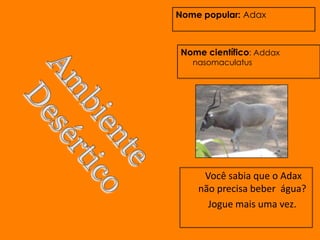 Nome popular: Adax



Nome científico: Addax
   nasomaculatus




     Você sabia que o Adax
    não precisa beber água?
      Jogue mais uma vez.
 