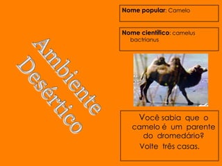 Nome popular: Camelo


Nome científico: camelus
  bactrianus




     Você sabia que o
   camelo é um parente
      do dromedário?
     Volte três casas.
 