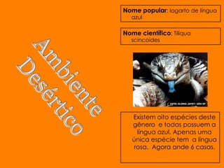 Nome popular: lagarto de língua
  azul

Nome científico: Tiliqua
  scincoides




   Existem oito espécies deste
   gênero e todas possuem a
    língua azul. Apenas uma
   única espécie tem a língua
   rosa. Agora ande 6 casas.
 