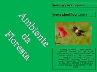 Nome popular: Beija-flor


Nome científico: Colibris




       Os beija-flores ou colibris são os
    menores pássaros do mundo. Ágeis
   e irrequietos em sua lindas e variadas
     cores, encantam a todos aqueles
         que observam as admiráveis
   coreografias que eles desenhavam
    no ar. Voando sem parar, em todas
     as direções, sempre á procura do
    néctar de que se alimentam. Vote 1
                     casa.
 