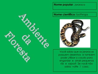 Nome popular: Jararaca


Nome científico: bothrops




    Você sabia que as jararacas
   possuem desenhos e também
     pode utilizar a cauda para
    engordar e atrair pequenas
     rãs e sapos? Se você não
         sabia volte 1 casa.
 