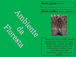 Nome popular: Pavão


Nome científico: povo cristatus




   Você sabia que o Pavão fêmea
   bota de oito a dez ovos? E que o
    Pavão já foi sagrado na Índia?
     Quem matasse o pavão seria
     condenado à morte. Já que
          você descobriu esta
     informação, jogue mais uma
               rodada.
 