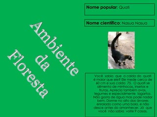 Nome popular: Quati


Nome científico: Nasua Nasua




   Você sabia que a calda do quati
   é maior que ele? Ele mede cerca de
    60 cm e sua calda 75. O quati se
     alimenta de minhocas, insetos e
       frutas. Aprecia também ovos,
   legumes e especialmente lagartos.
   Não gosta de água mas pode nadar
     bem. Dorme no alto das árvores
     enrolado como uma bola, e não
   desce antes do amanhecer. Já que
      você não sabia volte 9 casas.
 