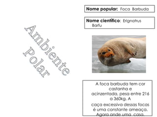 Nome popular: Foca Barbuda

Nome científico: Erignatrus
  Barfu




    A foca barbuda tem cor
          castanha e
  acinzentada, pesa entre 216
           a 360kg. A
  caça excessiva dessas focas
   é uma constante ameaça.
    Agora ande uma casa.
 