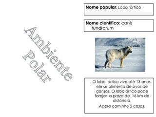 Nome popular: Lobo ártico


Nome científico: canis
  tundrarum




   O lobo ártico vive até 13 anos,
     ele se alimenta de ovos de
     gansos. O lobo ártico pode
    farejar a preza de 16 km de
               distância.
      Agora caminhe 2 casas.
 
