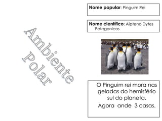 Nome popular: Pinguim Rei


Nome científico: Aipteno Dytes
  Petegonicos




   O Pinguim rei mora nas
   geladas do hemisfério
       sul do planeta.
   Agora ande 3 casas.
 