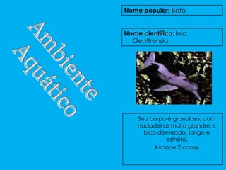 Nome popular: Boto


Nome científico: Inia
  Geoffrensia




    Seu corpo é granuloso, com
    nadadeiras muito grandes e
      bico denteado, longo e
             estreito.
         Avance 2 casas.
 