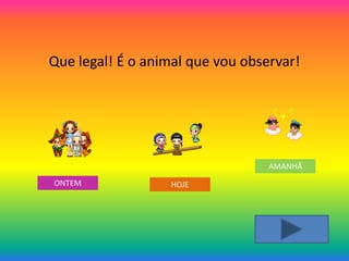 Que legal! É o animal que vou observar!




                                  AMANHÃ
ONTEM             HOJE
 