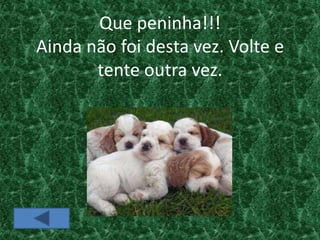 Que peninha!!!
Ainda não foi desta vez. Volte e
       tente outra vez.
 