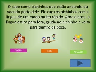O sapo come bichinhos que estão andando ou
 voando perto dele. Ele caça os bichinhos com a
língua de um modo muito rápido. Abra a boca, a
língua estica para fora, gruda no bichinho e volta
               para dentro da boca.




     ONTEM              HOJE            AMANHÃ
 
