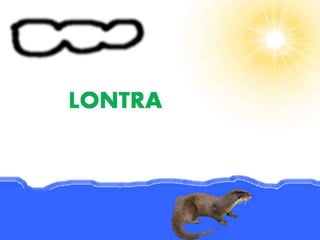 Jogo da memória dos animais