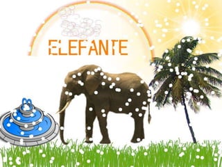 Jogo da memória dos animais