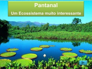 Pantanal
Um Ecossistema muito interessante

Pantanal
Um ecossistema muito
interessante...

 