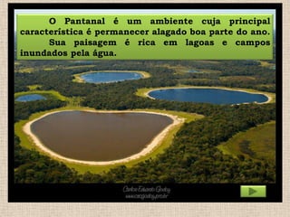 O Pantanal é um ambiente cuja principal
característica é permanecer alagado boa parte do ano.
Sua paisagem é rica em lagoas e campos
inundados pela água.

 