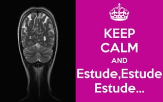 Jogo de Revisão (Primeiro Ano E.M.)