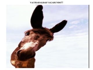 VAI TRABALHAR VAGABUNDO!!! 