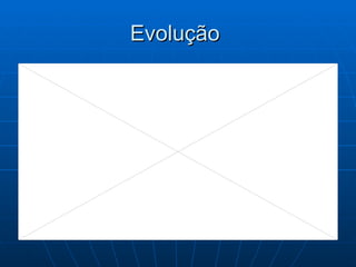 Evolução  