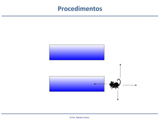 © Prof.: Marcelo Cursino
Procedimentos
 