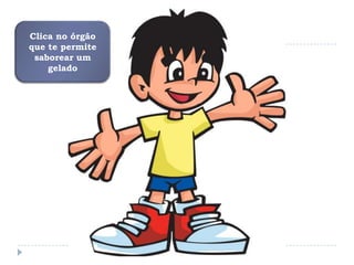Clica no órgão que te permite saborear um gelado