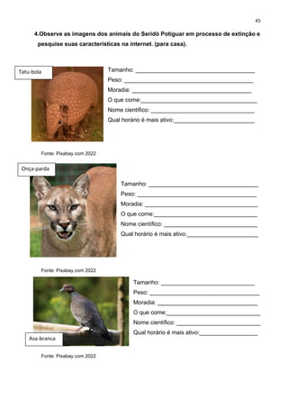 45
4.Observe as imagens dos animais do Seridó Potiguar em processo de extinção e
pesquise suas características na internet. (para casa).
Tamanho: _____________________________________
Peso: ________________________________________
Moradia: _____________________________________
O que come:____________________________________
Nome científico: ________________________________
Qual horário é mais ativo:_________________________
Fonte: Pixabay.com 2022
Tamanho: __________________________________
Peso: _____________________________________
Moradia: ___________________________________
O que come:________________________________
Nome científico: _____________________________
Qual horário é mais ativo:______________________
Fonte: Pixabay.com 2022
Tamanho: _____________________________
Peso: __________________________________
Moradia: _______________________________
O que come:_____________________________
Nome científico: __________________________
Qual horário é mais ativo:__________________
Fonte: Pixabay.com 2022
Tatu-bola
Onça-parda
Asa-branca
 