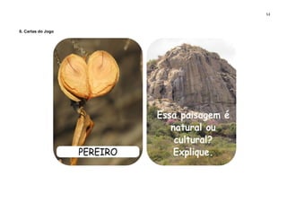 53
6. Cartas do Jogo
 