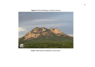 32
Figura 2: Serra do Mulungu no período chuvoso
Fonte: Valter Borman de Medeiros Júnior (2021).
 