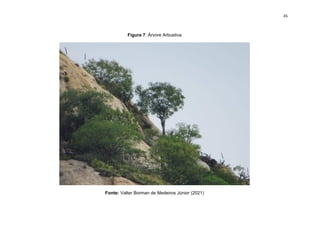 45
Figura 7: Árvore Arbustiva
Fonte: Valter Borman de Medeiros Júnior (2021)
 