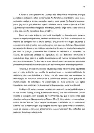 46
A flora e a fauna presente na Caatinga são adaptadas e resistentes a longos
períodos de estiagem e altas temperaturas. Na flora temos mandacaru, xique-xique,
umbuzeiro, craibeira, angico, carnaúba, aroeira, entre outras. Na fauna temos onça-
parda, jaguatirica, gato-do-mato, raposa, tatu-bola, mocó, diversos tipos de anfíbios.
Algumas espécies estão ameaçadas de extinção, como a onça-parda, a asa-branca e
o tatu-bola, que foi mascote da Copa em 2014.
Como no meio ambiente tudo está interligado, o desmatamento provoca
impactos negativos importantes, também nos leitos dos rios. Pois, existe acúmulo de
material de transporte que a chuva carrega, prejudicando esse lugar, causando o
assoreamento pela erosão e o desconfigurando com o passar do tempo. No processo
de degradação dos recursos hídricos, a contaminação nos rios é outro fator negativo,
por meio da poluição proveniente das indústrias, da deficiência no tratamento de
esgoto, do agrotóxico utilizado na agricultura, do lixo doméstico diminuindo a
qualidade da água potável, a saúde dos animais que ali vivem e consequentemente
de quem os consomem. Os rios, são recursos naturais, como nós e nossos estudantes
percebemos estes recursos hídricos? Quais as informações e análises propomos?
Portanto, é preciso um processo educativo pautado na convivência equilibrada
com o meio ambiente, no sentido de pertencimento e corresponsabilidade da
sociedade, de forma individual e coletiva, que são essenciais nas estratégias de
conservação da natureza. Sensibilizar a comunidade escolar, obter parcerias na
implementação de estratégias na preservação do meio ambiente são ações
importantes que colaboram no desenvolvimento econômico, social e ambiental.
Na Figura 08 estão presentes os principais reservatórios do Seridó Potiguar e
os rios (Seridó, Potengi, Sabugi, Barra Nova e Acauã), que são intermitentes (secam
durante a estiagem), com exceção do Rio Piranhas-Açu que é perene (não seca
durante a estiagem). Na sequência as Figuras 09 e 10 fotografadas no mesmo lugar,
na Ilha de Sant’Ana em Caicó, na qual visualizamos o rio Seridó, um rio intermitente.
Embora seja o mesmo lugar, as paisagens de uma figura para outra são diferentes,
quais as causas e elementos proporcionam essas mudanças? São reflexões que
podemos discutir em sala de aula.
 