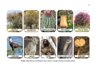 67
Fonte: Valter Borman de Medeiros Júnior (2021); Jessiane Dantas Fernandes (2022).
 