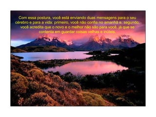 Com essa postura, você está enviando duas mensagens para o seu cérebro e para a vida: primeiro, você não confia no amanhã e, segundo, você acredita que o novo e o melhor não são para você, já que se contenta em guardar coisas velhas e inúteis. 