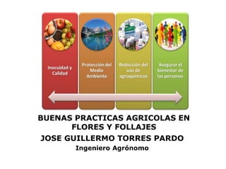 BUENAS PRACTICAS AGRICOLAS EN
FLORES Y FOLLAJES
JOSE GUILLERMO TORRES PARDO
Ingeniero Agrónomo
 