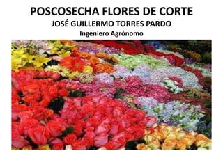 POSCOSECHA FLORES DE CORTE
JOSÉ GUILLERMO TORRES PARDO
Ingeniero Agrónomo
 