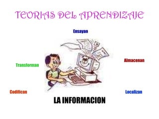TEORIAS DEL APRENDIZAJE
Ensayan
Almacenan
Transforman
Codifican Localizan
LA INFORMACION
 