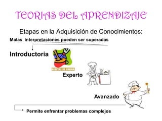 TEORIAS DEL APRENDIZAJE
Etapas en la Adquisición de Conocimientos:
Malas interpretaciones pueden ser superadas
Introductoria
Experto
Avanzado
Permite enfrentar problemas complejos
 